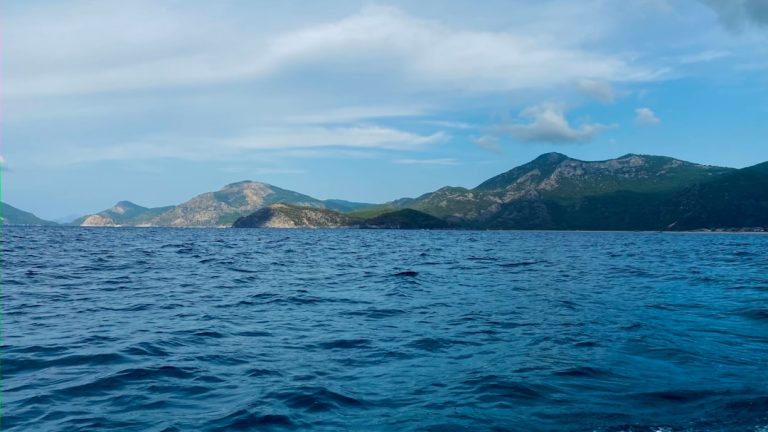 Unleashing Your Adventurous Spirit: Embracing the Great Outdoors