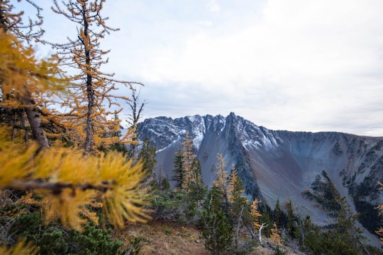 The Art of Slow Travel: Embracing the Journey Beyond Destinations