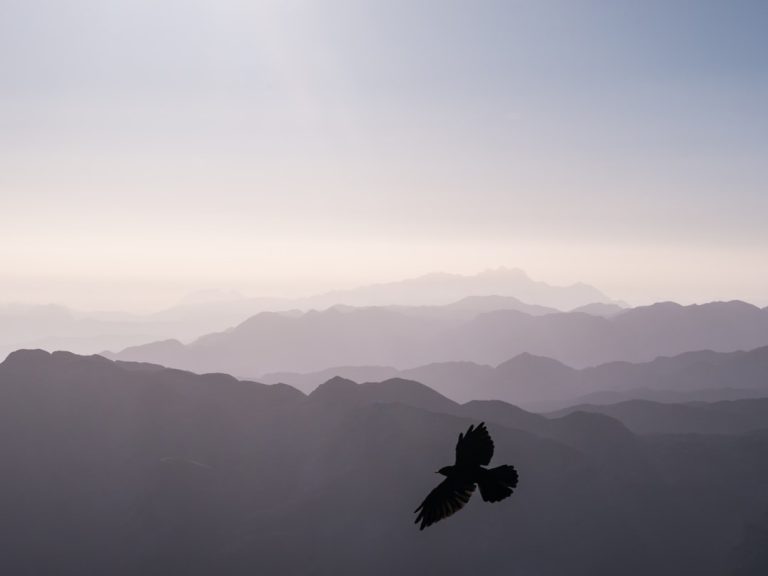 The Thrill of Backpacking: Embracing Nature’s Classroom